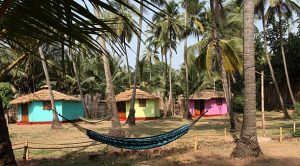 Top 10 Pet-Friendly Homestays in Goa