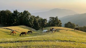 Best Tourist Places in Dehradun: From Hidden Waterfalls to Caves