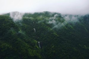 Top Nature Spots in Alibaug: Beaches, Trails & Hidden Escapes