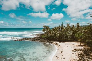 Best Time to Visit Goa: A Guide to Seasons & Weather