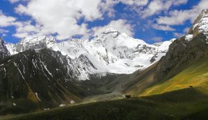 Top Ooty Nature Places: Gardens, Forests & Panoramic Views