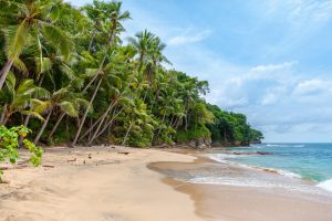 Goa Weather by Month: A Complete Monthly Guide