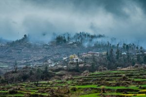 Best Time to Visit Ooty: A Comprehensive Seasonal Guide
