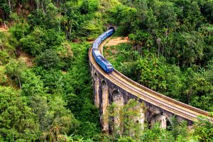 Nilgiri Mountain Railway Guide: Timings, Tickets & Route Map