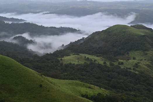 Agumbe Hill Station: Ultimate Travel Guide & Expert Tips