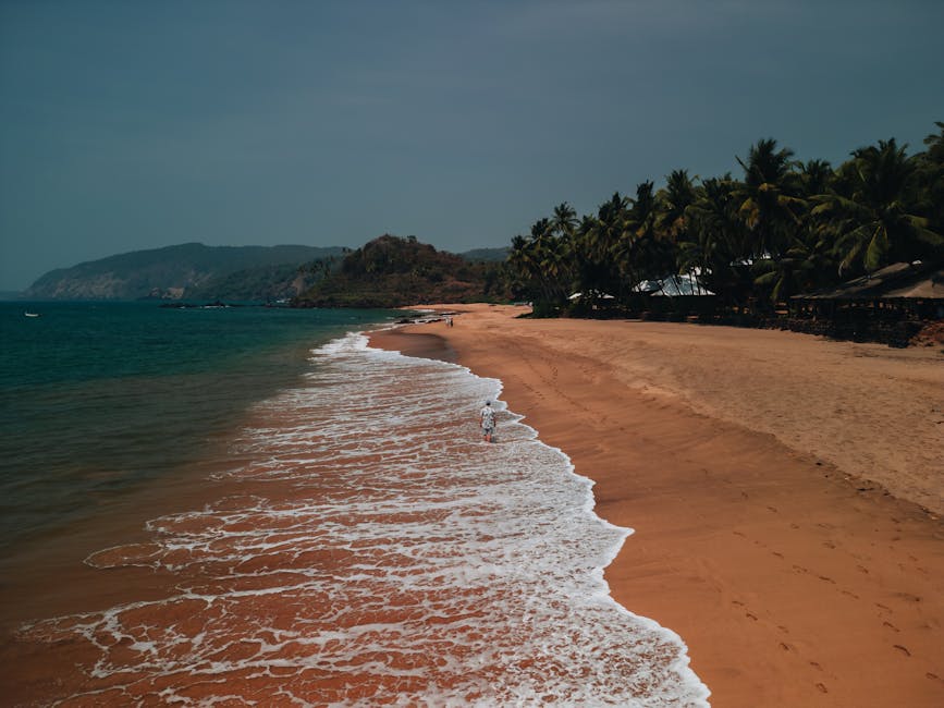 Top 10 Best Beaches in North Goa for Your Dream Vacation